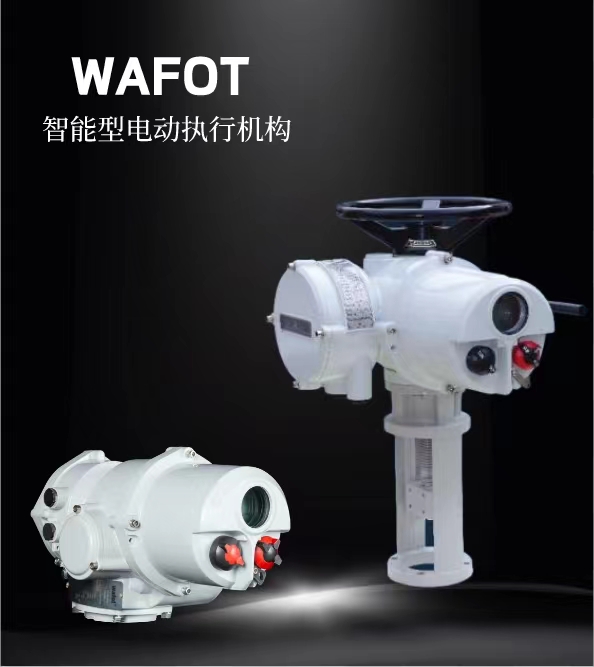 WAFOT- Guidance Notes (Chinese Version)
