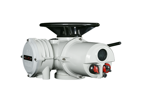 RTS multi-turn intelligent switch type