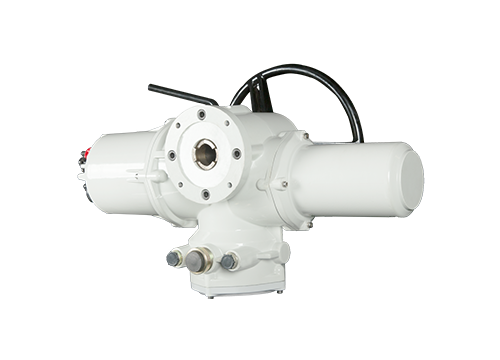 RTS multi-turn intelligent explosion-proof type